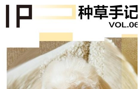 「小貓小狗書」助品牌玩轉(zhuǎn)亞寵展，精準滲透養(yǎng)寵人群